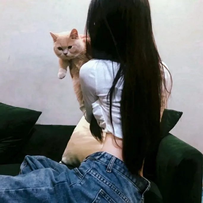 风流市长