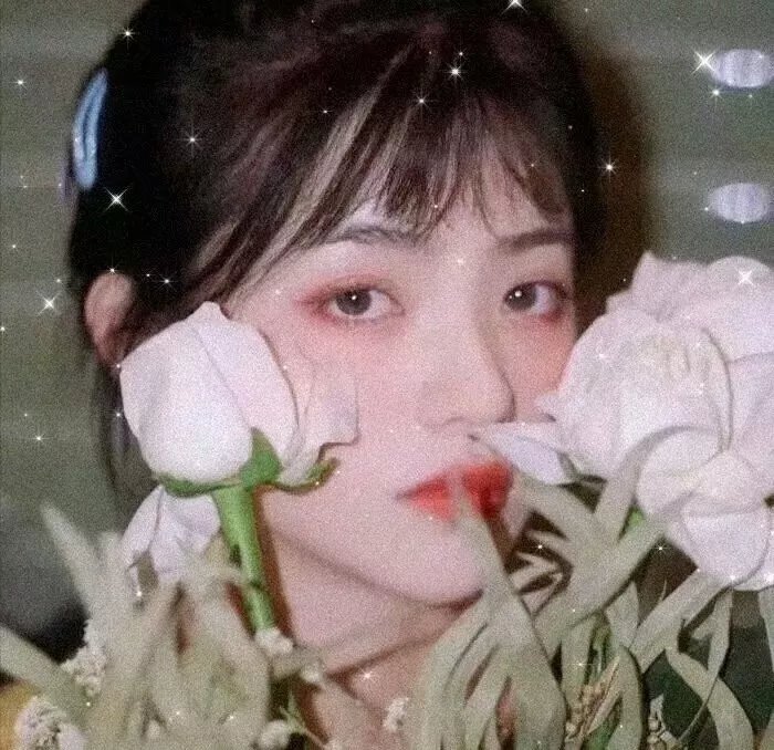 白天与黑夜